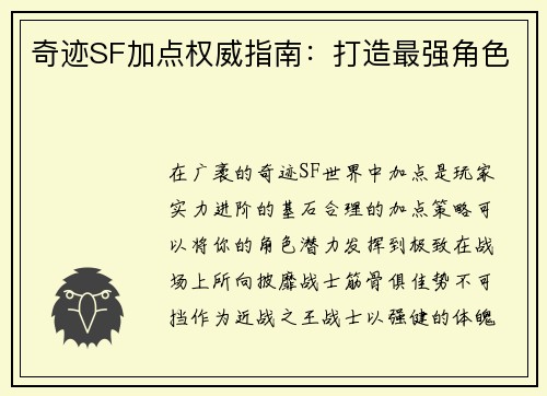 奇迹SF加点权威指南：打造最强角色