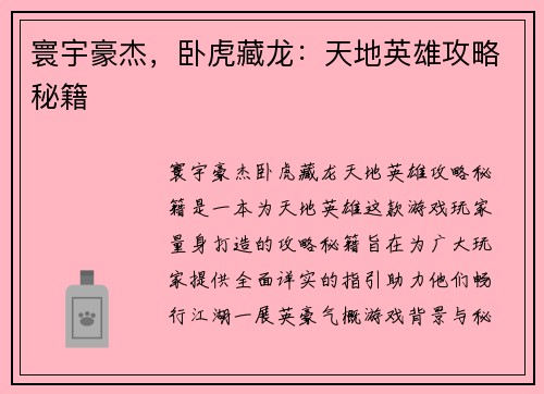 寰宇豪杰，卧虎藏龙：天地英雄攻略秘籍