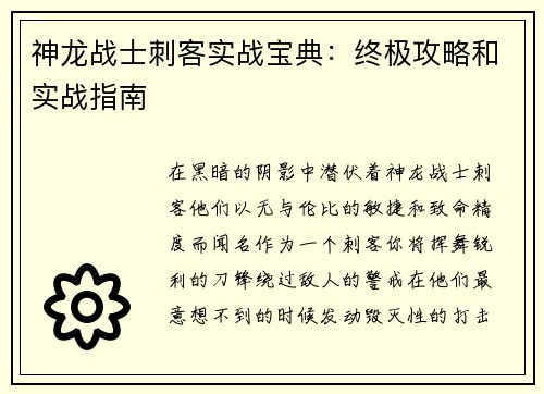 神龙战士刺客实战宝典：终极攻略和实战指南